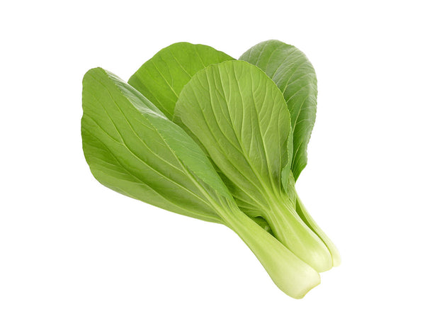 Pak Choi Plant Pods 9-pack