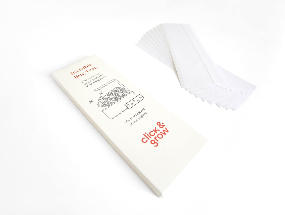 Invisible Bug Trap / Invisible Bug Trap