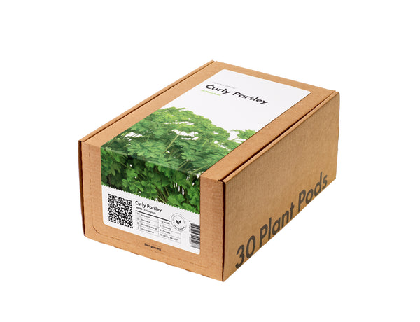 Curly Parsley Plant Pods 30-pack