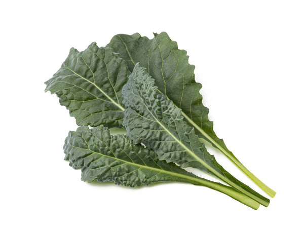 Italian Kale Plant Pods 9-pack