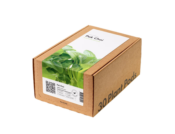 Pak Choi 30-pack