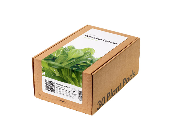 Romaine Lettuce Plant Pods 30-pack