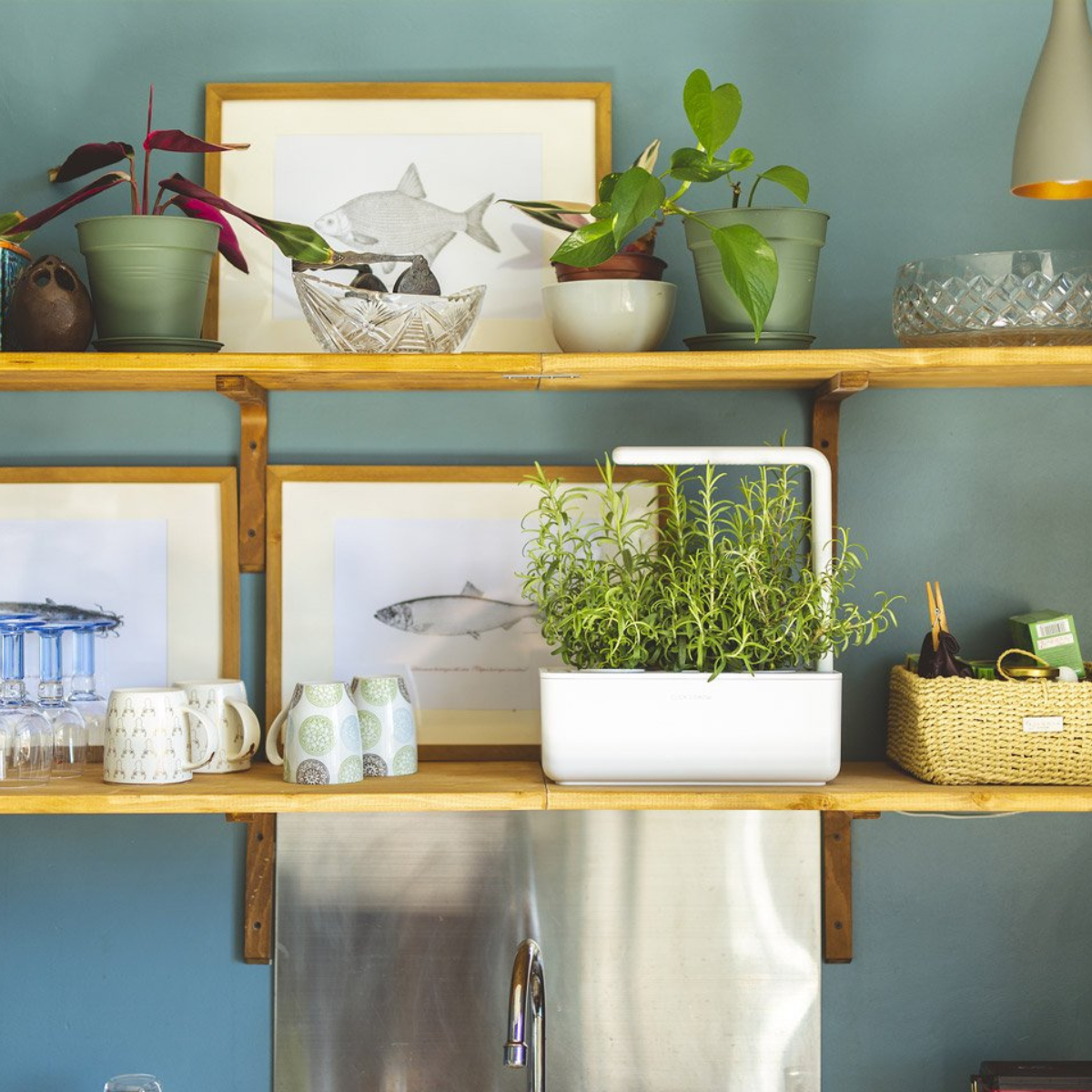 The Smart Garden 3 / The Smart Garden 3