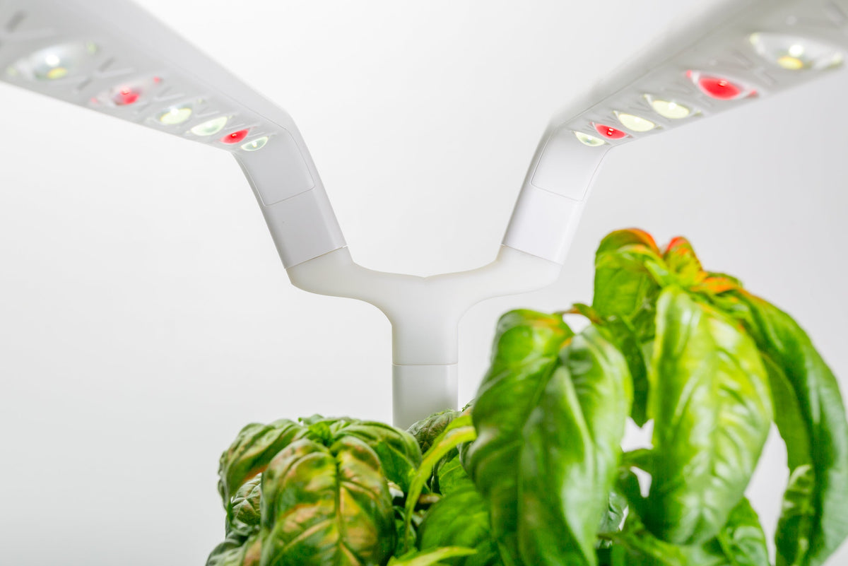 Supernova - Smart Garden 9 Upgrade Kit / Supernova - Smart Garden 9 Upgrade Kit