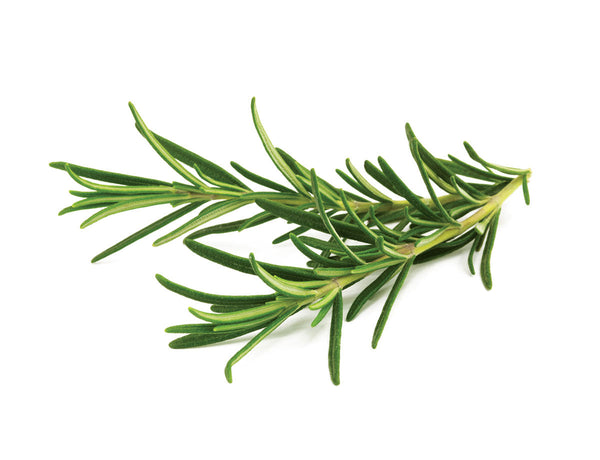 Rosemary Plant Pods 9-pack