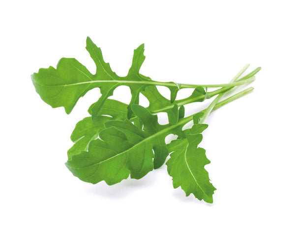 Arugula Plant Pods 3-pack