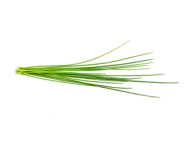 Chives Plant Pods 3-pack