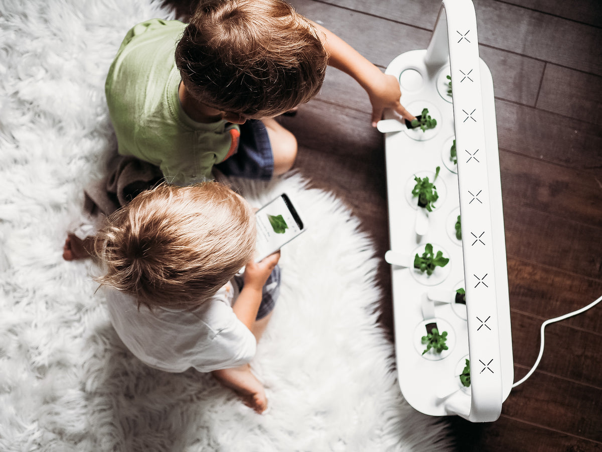 The Smart Garden 9 / The Smart Garden 9