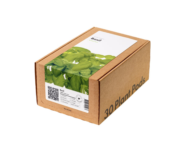 Basil 30-pack