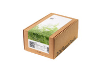 Dill 30-pack / Dill 30-pack