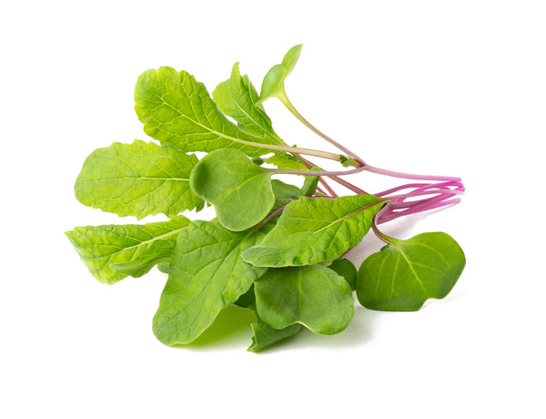 Leaf Radish Plant Pods 9-pack