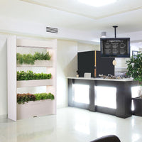 The Wall Farm Indoor Vertical Garden / The Wall Farm Indoor Vertical Garden