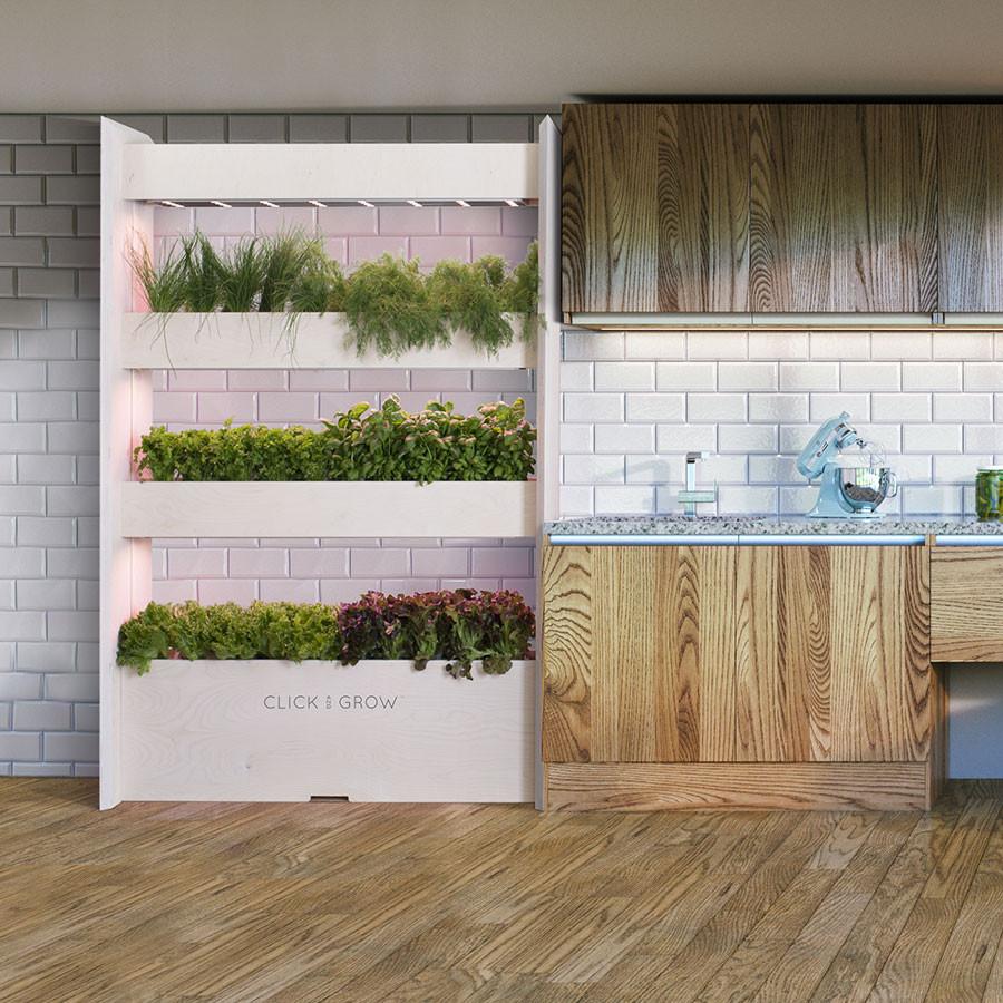 The Wall Farm Indoor Vertical Garden / The Wall Farm Indoor Vertical Garden