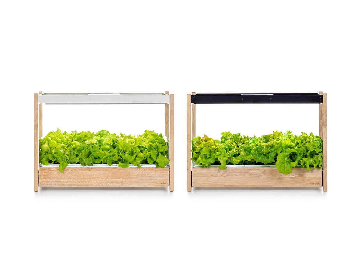 The Click & Grow 25 Subscription / The Click & Grow 25 Subscription