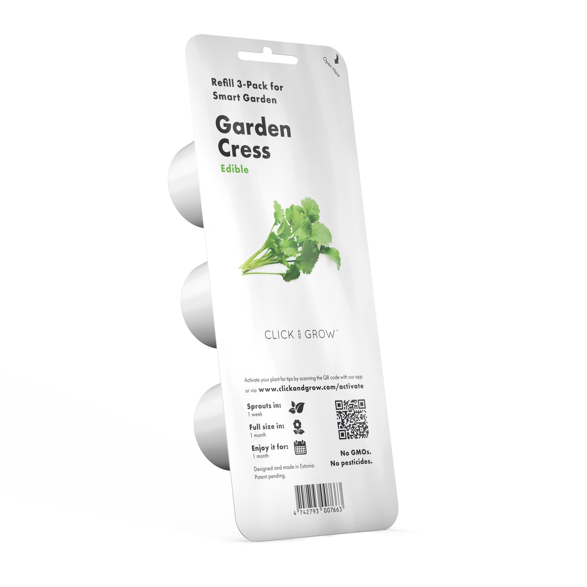 Garden Cress Plant Pods / Garden Cress Plant Pods