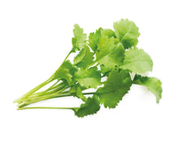 Garden Cress Plant Pods / Cress - grow cress at home - indoor herb garden kit - Click & Grow cress