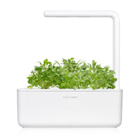Garden Cress Plant Pods / Cress - grow cress at home - indoor herb garden kit - Click & Grow cress