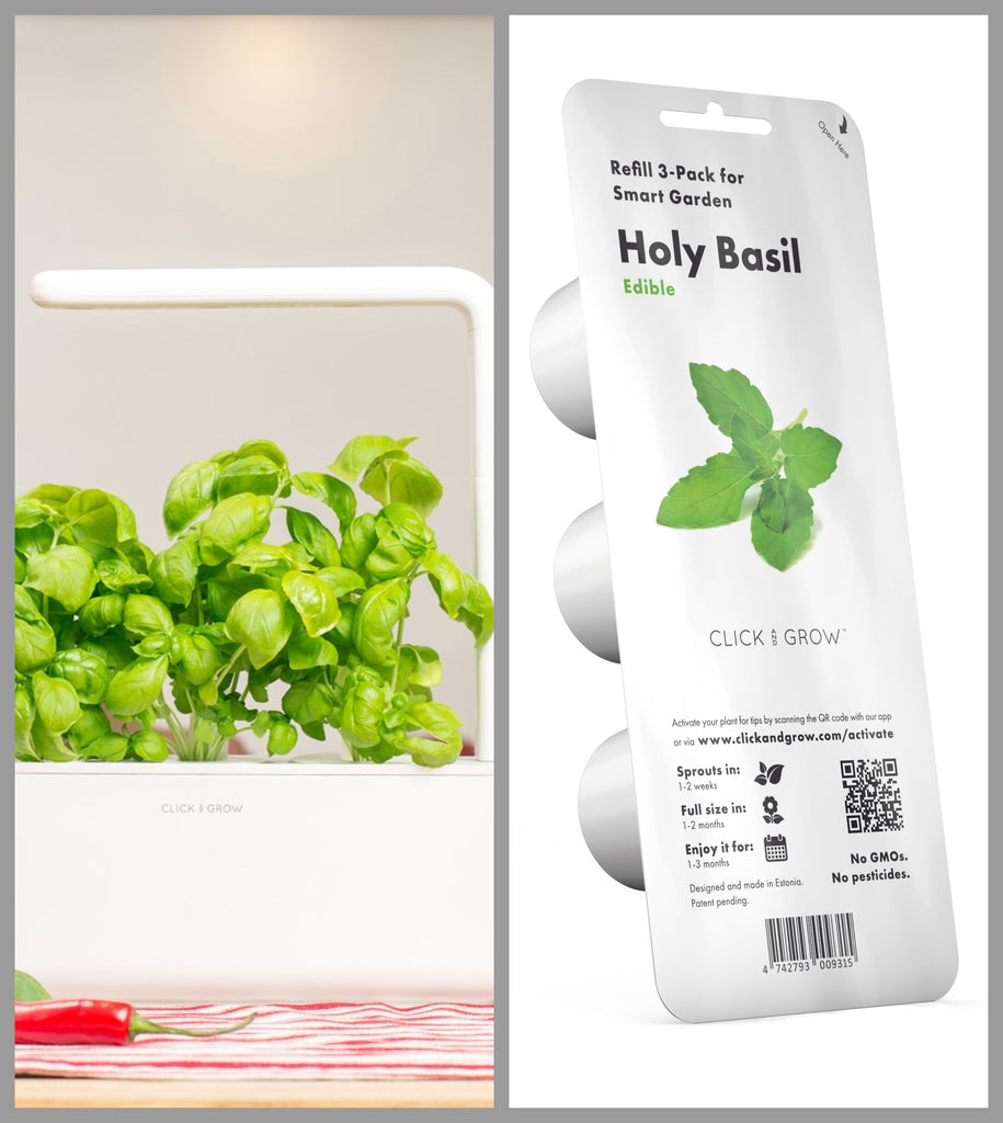 Try These 5 Fantastic Ways to Use Fresh Basil Click Grow EU