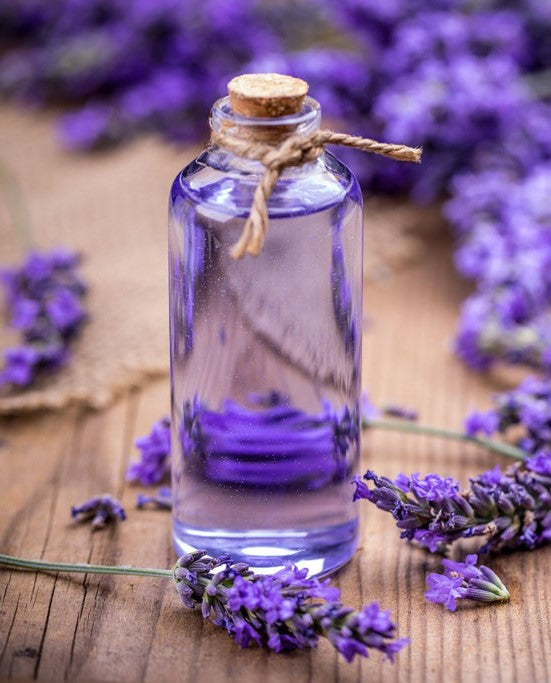 How to Make Lavender Essential Oil - Easy Recipe