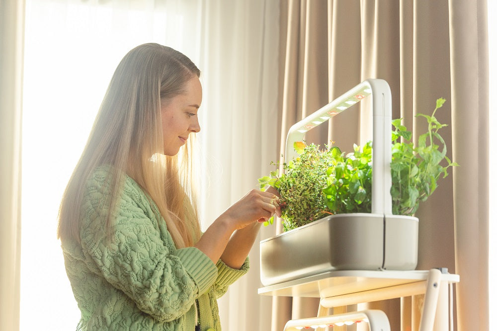 Outgrown your Smart Garden 9 Upgrade to the Smart Garden 27