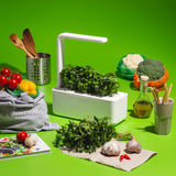 What Are Antioxidants and Why Do You Need Them?