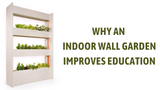 Indoor Wall Farm with caption 'Why an Indoor Wall Farm Improves Education'.