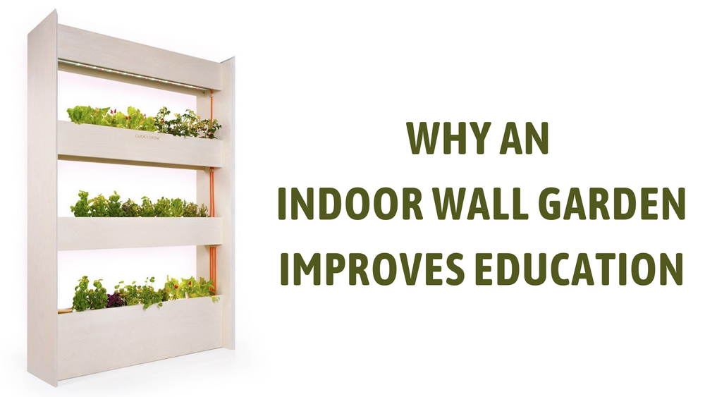 Why an Indoor Wall Garden Improves Education