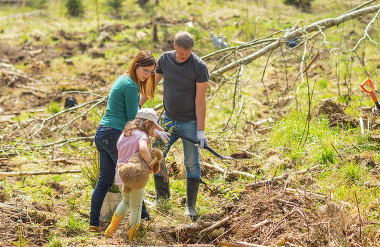 5 Easy Everyday Things You Can Do To Reverse Deforestation