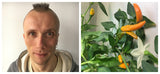 Indoor gardener and plant collage.
