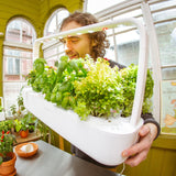 How Long Does it Take My Seeds to Germinate?