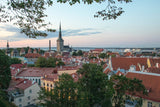 estonia click & grow