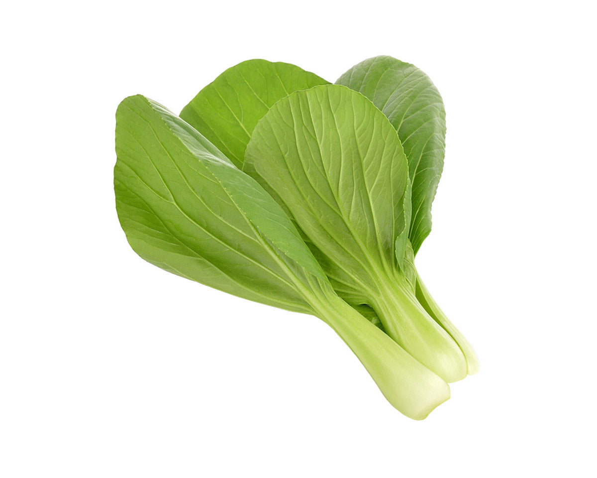 Pak Choi Plant Pods 9-pack / Pak Choi Plant Pods 9-pack