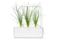 Green Onion Plant Pods 3-pack / Green Onion Plant Pods 3-pack