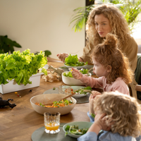 The Click & Grow 25 / The Click & Grow 25