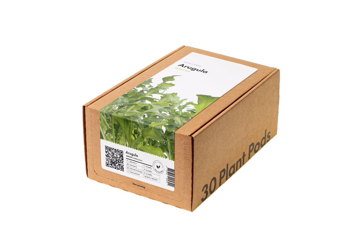 Arugula 30-pack / Arugula 30-pack