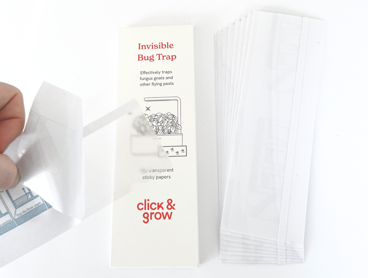 Invisible Bug Trap / Invisible Bug Trap