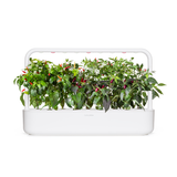 Chili Pepper Mix 9-pack