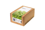 Cilantro (Coriander) Plant Pods 30-pack
