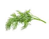 Dill Plant Pods 30-pack