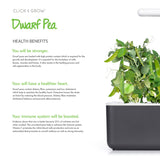 Dwarf Pea Plant Pods 9-pack