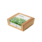 Dwarf Pea Plant Pods 9-pack