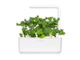 Green Kale Plant Pods 9-pack
