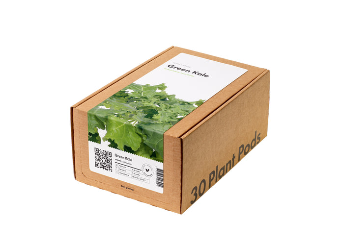 Green Kale 30-pack