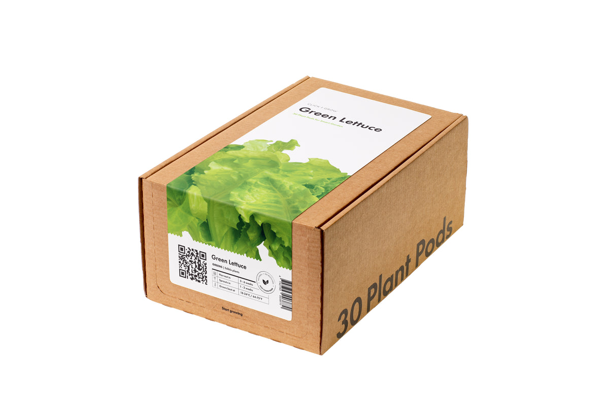 Green Lettuce 30-pack / Green Lettuce 30-pack