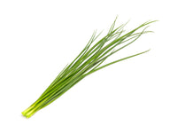 Green Onion Plant Pods 3-pack / Green Onion Plant Pods 3-pack