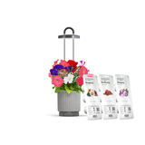 Valentine's Day Gift Bundle