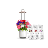 Valentine's Day Gift Bundle