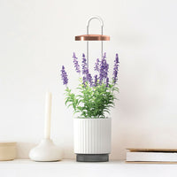 Best Gift Under €100 / Best Gift Under €100