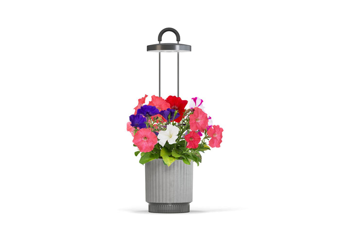 Best Gift Under €100 - Grey