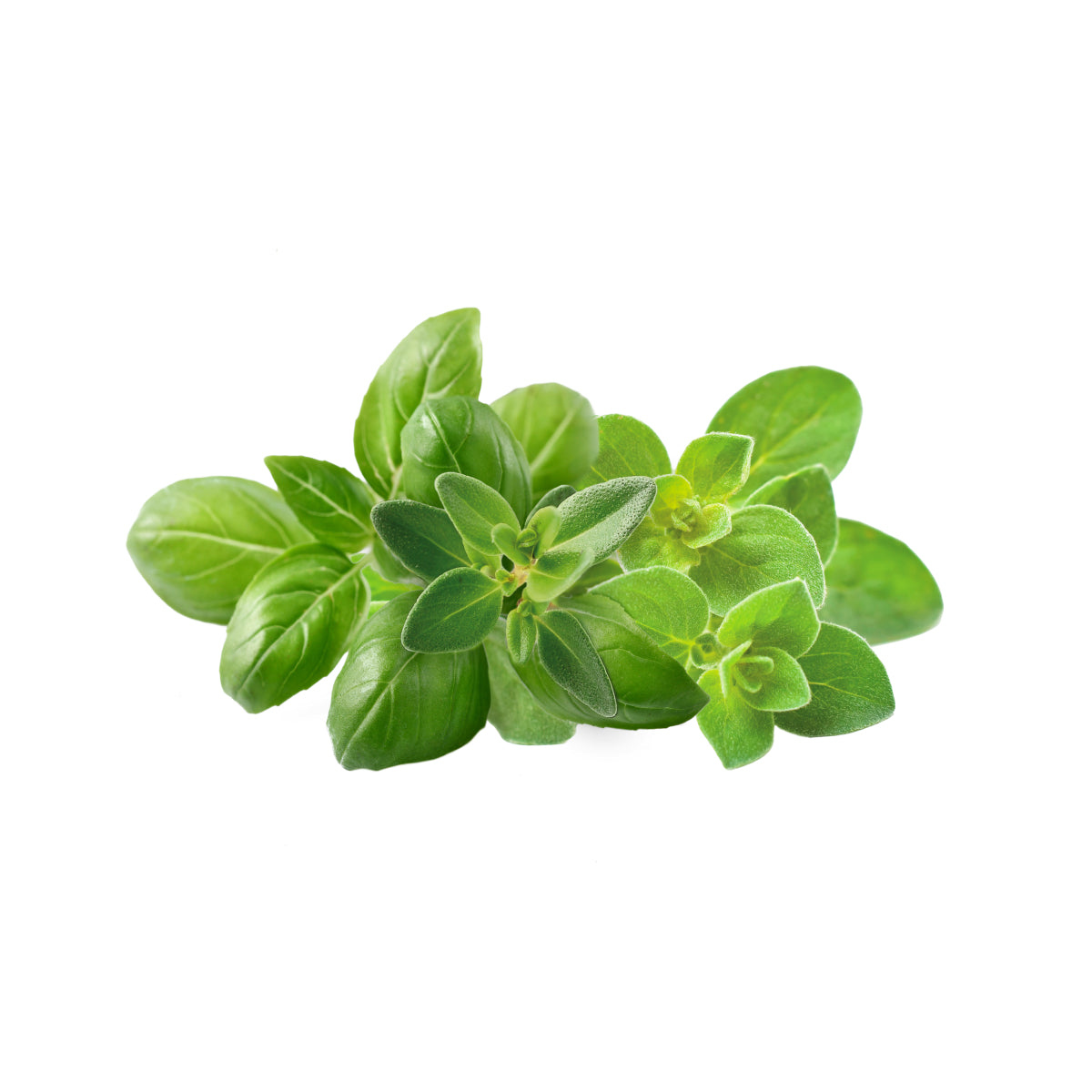 Italian Herb Mix 9-pack / Italian Herb Mix 9-pack